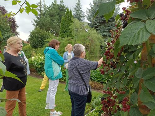 Podziwiamy i podjadamy maliny